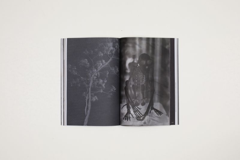 © Witty Books - Image from the The y by alba zari photography project