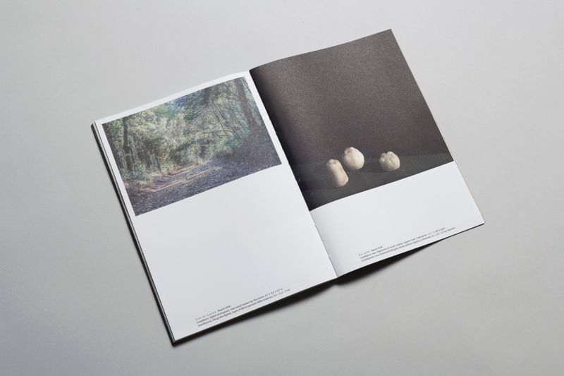 © Witty Books - Image from the Honesty of Matter by Caterina Morigi photography project