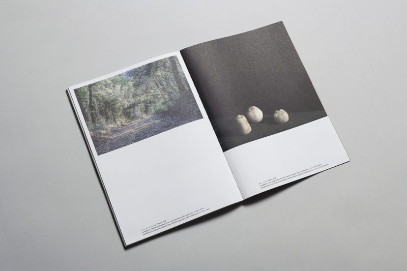 © Witty Books - Image from the Honesty of Matter by Caterina Morigi photography project