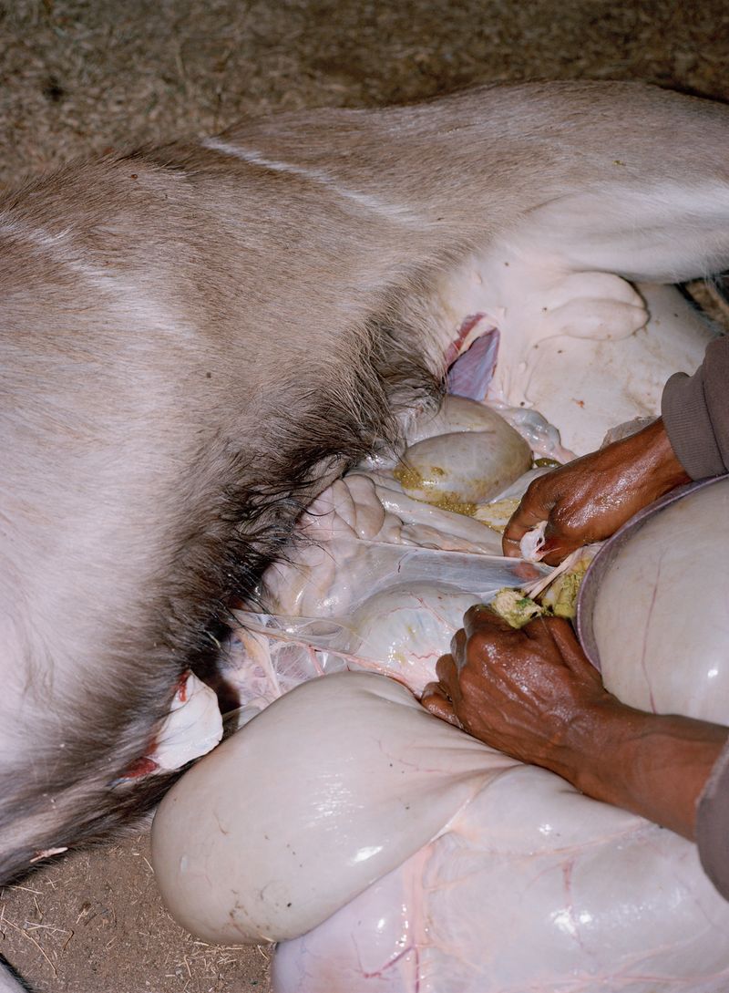 © CJ Chandler - Image from the the twist of a knee photography project