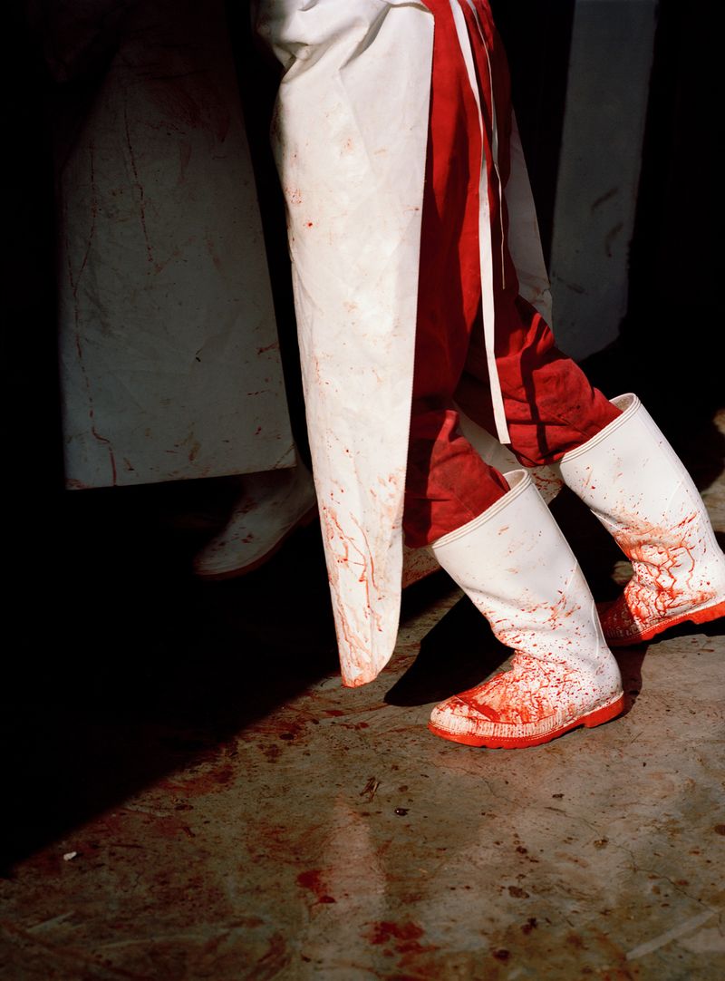 © CJ Chandler - Image from the the twist of a knee photography project