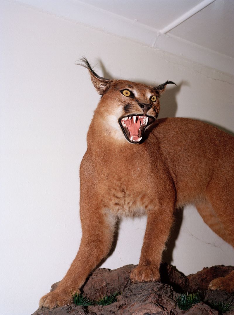 © CJ Chandler - Image from the the twist of a knee photography project