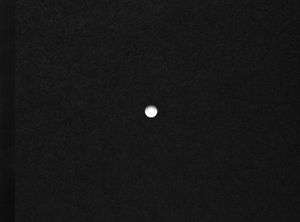 once a year the stick shoots by Nastasiia Leliuk and Natalia Wiernik