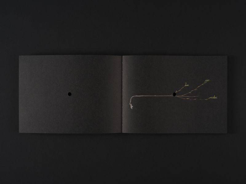 Image from a project on PhMuseum
