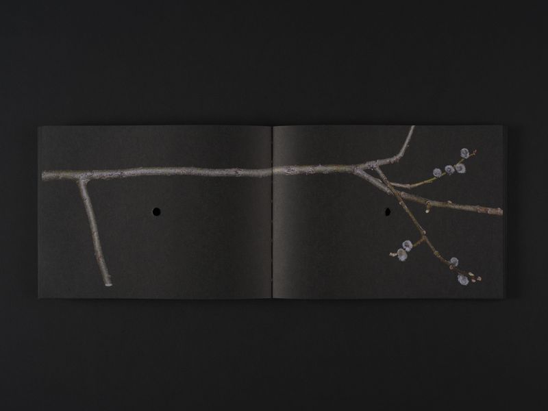 Image from a project on PhMuseum