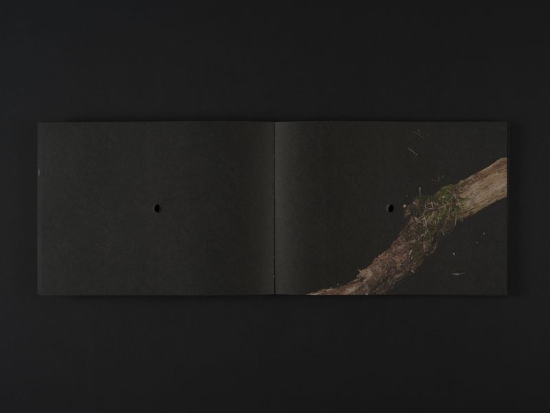 Image from a project on PhMuseum