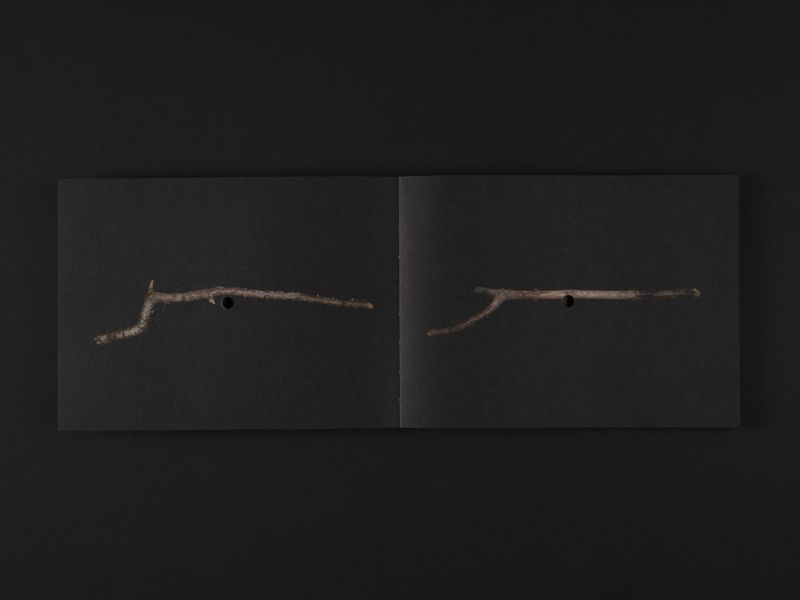 Image from a project on PhMuseum