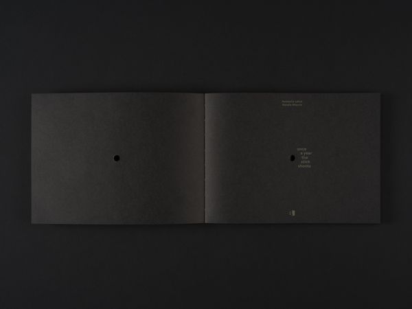 Image from a project on PhMuseum