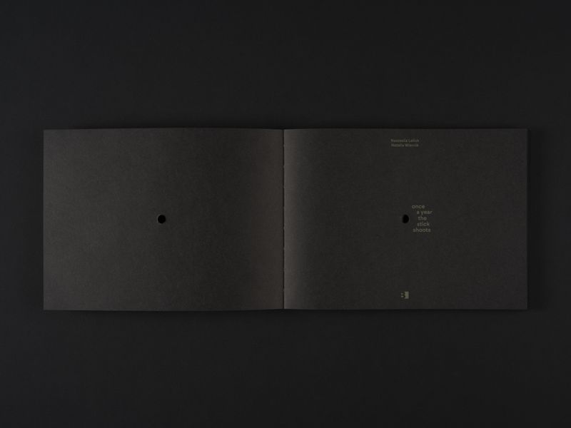 Image from a project on PhMuseum