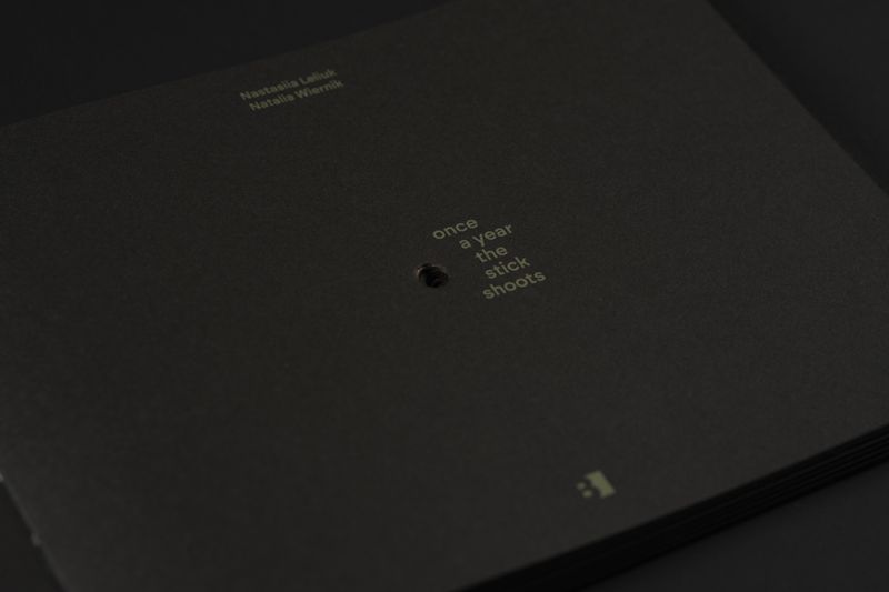 Image from a project on PhMuseum