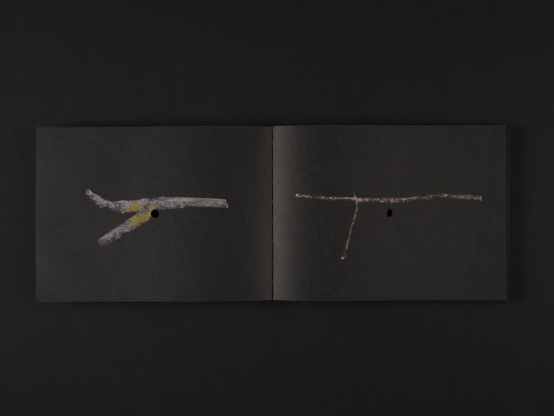 Image from a project on PhMuseum
