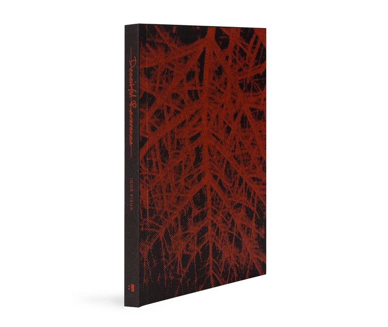 © BLOW UP PRESS - DECEITFUL REVERENCE by Igor Pisuk (special edition)