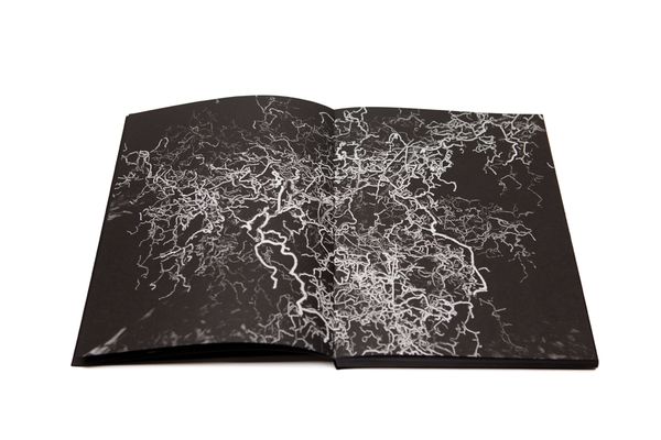 © BLOW UP PRESS - DECEITFUL REVERENCE by Igor Pisuk