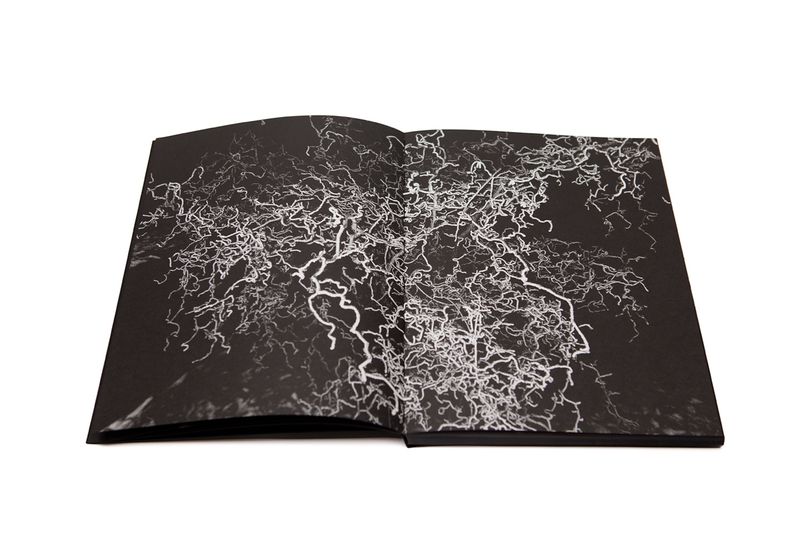 © BLOW UP PRESS - DECEITFUL REVERENCE by Igor Pisuk