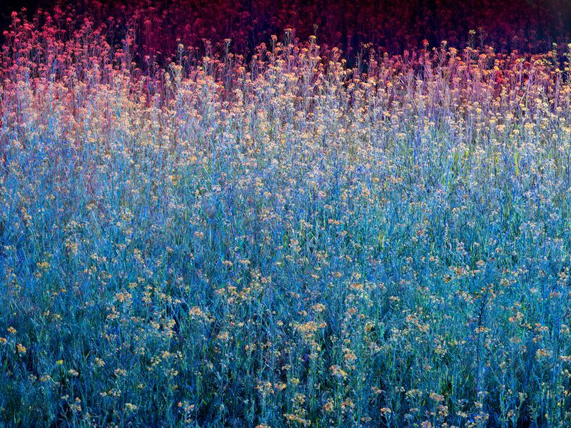 © Christopher Rodriguez - Image from the Afterlife photography project