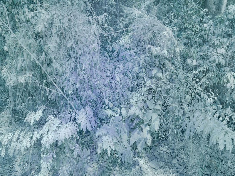 © Christopher Rodriguez - Image from the Afterlife photography project