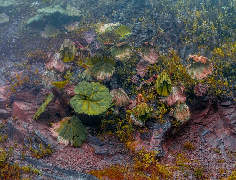 © Christopher Rodriguez - Image from the Afterlife photography project