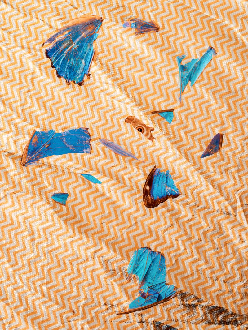 © Christopher Rodriguez - Image from the Afterlife photography project