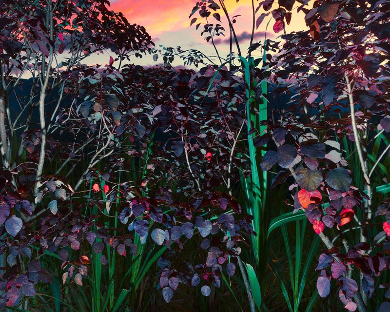 © Christopher Rodriguez - Amazonas Sunset/The afterlife is visible.