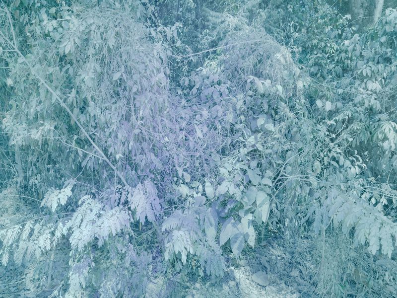 © Christopher Rodriguez - Purple Dust/Everything is covered in white sediment that may cause respiratory issues.