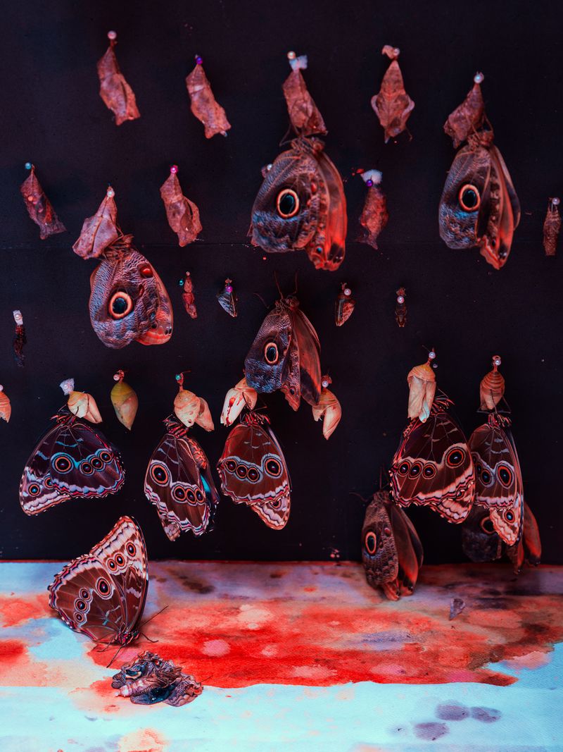 © Christopher Rodriguez - Afterlife Testing #2/Metamorphosis