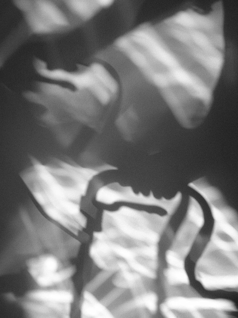 © Hamzeh Zahran - My Mother's Shadow Moving Through the House, Amman, 2025, from the "Remains" series