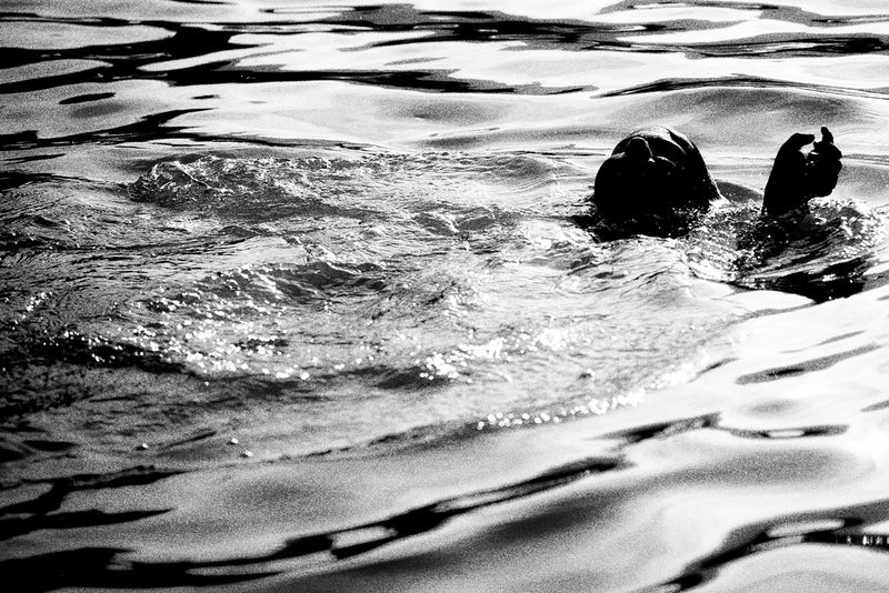 © Francesco Topino - Image from the Blurred photography project