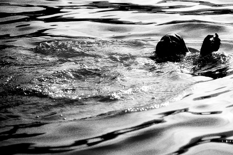 © Francesco Topino - Image from the Blurred photography project