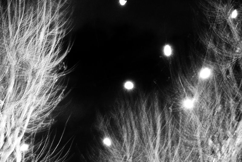 © Francesco Topino - Image from the Blurred photography project