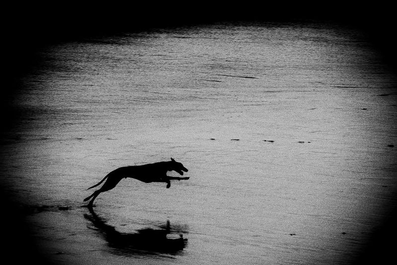 © Francesco Topino - Image from the Blurred photography project