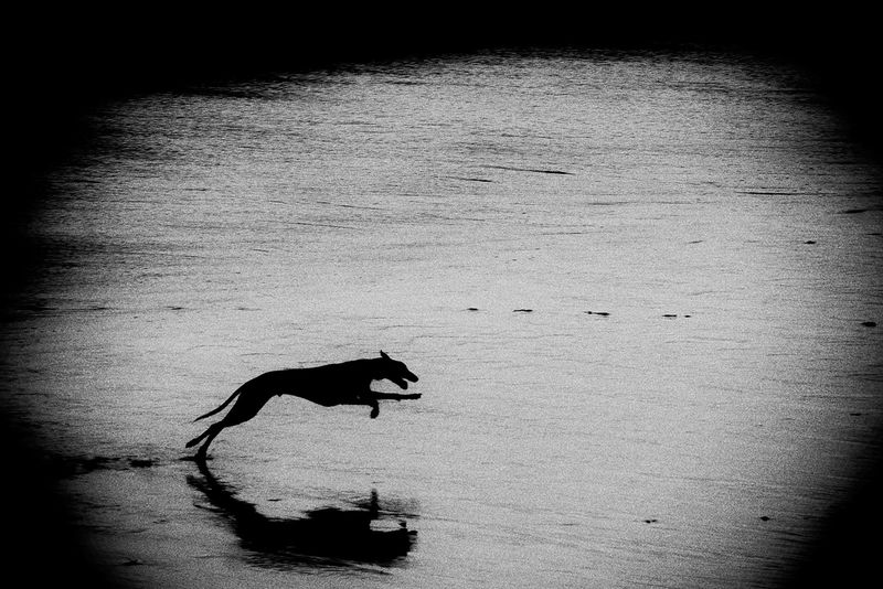 © Francesco Topino - Image from the Blurred photography project