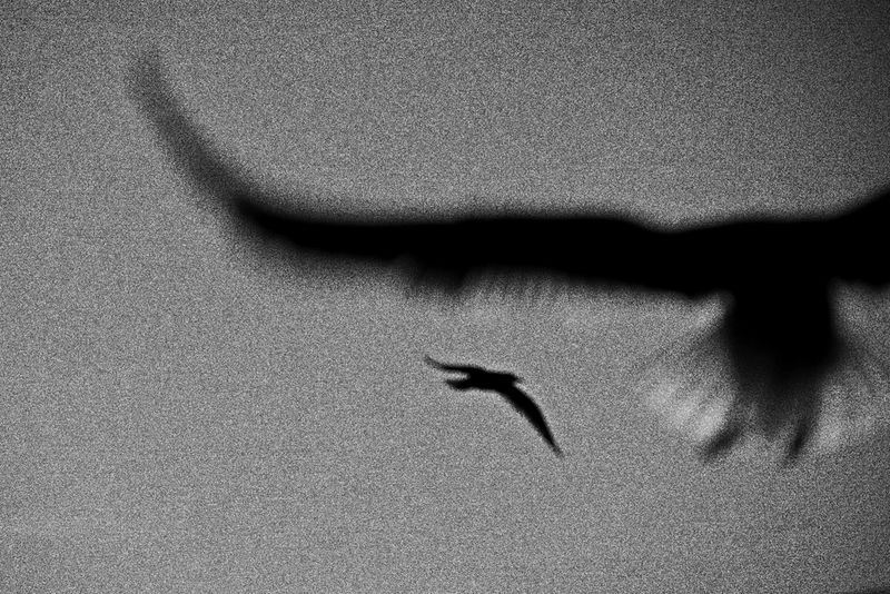 © Francesco Topino - Image from the Blurred photography project