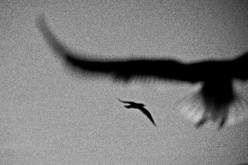 © Francesco Topino - Image from the Blurred photography project