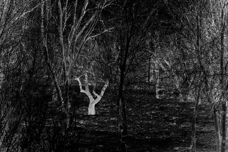 © Francesco Topino - Image from the Decadentia photography project