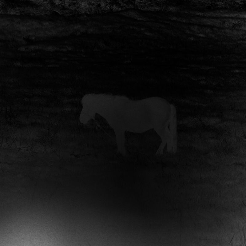 © Francesco Topino - Image from the Lost Son photography project