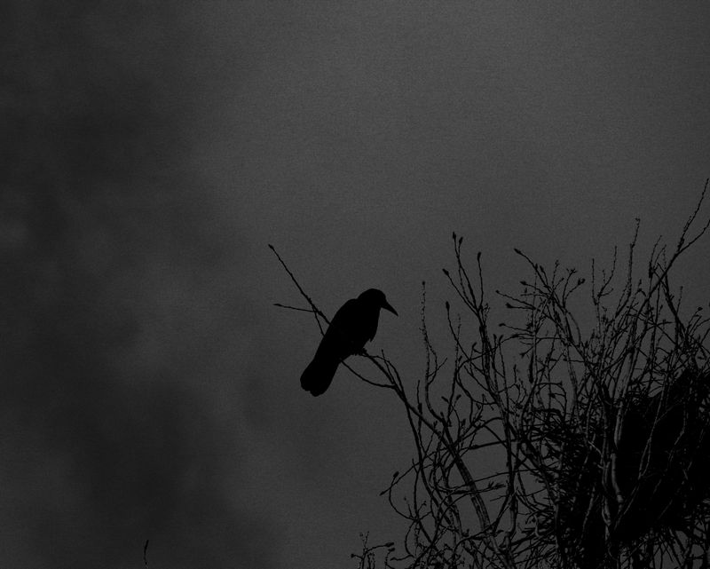 © Francesco Topino - Image from the Lost Son photography project