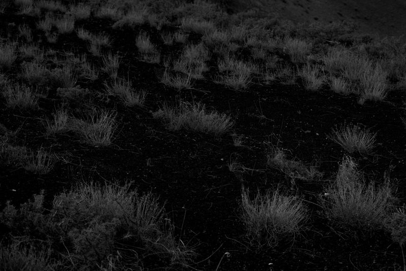 © Francesco Topino - Image from the Lost Son photography project