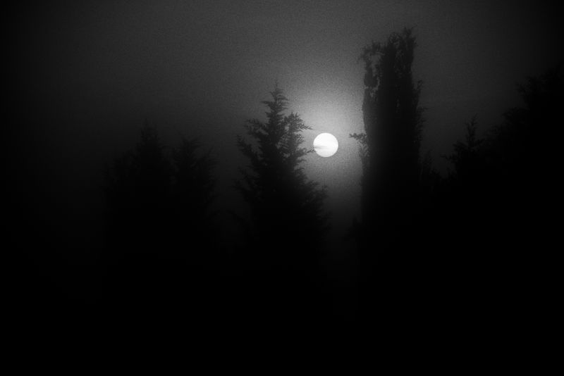 © Francesco Topino - Image from the Lost Son photography project