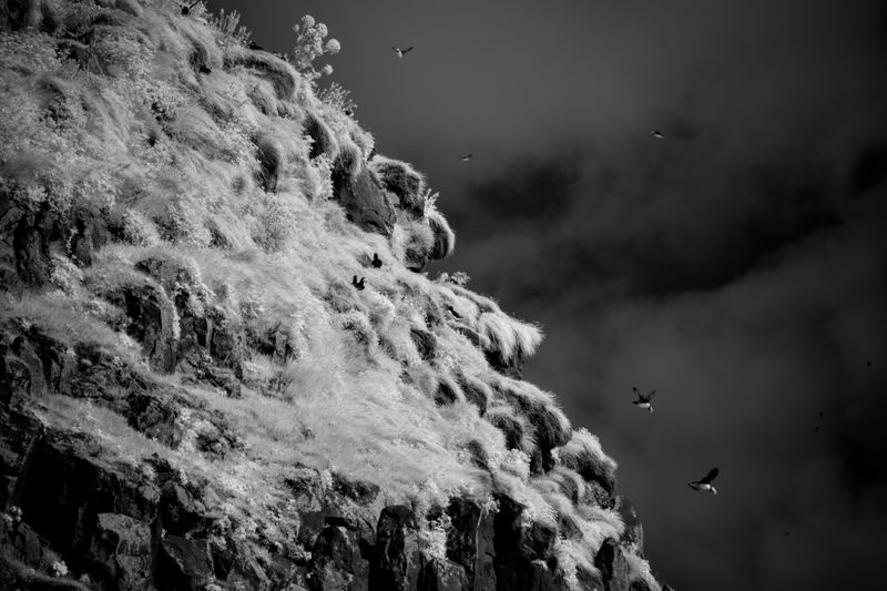 © Bolide Photo - Image from the Iceland Noir photography project