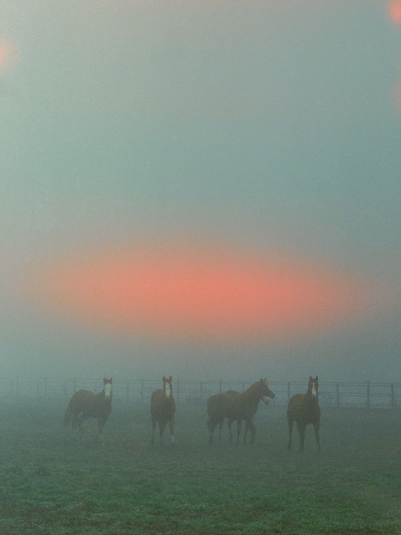 © Edward Nurton - Image from the THE ELEPHANT'S FOOT photography project