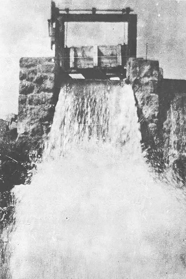 © Edward Nurton - Image from the THE ELEPHANT'S FOOT photography project