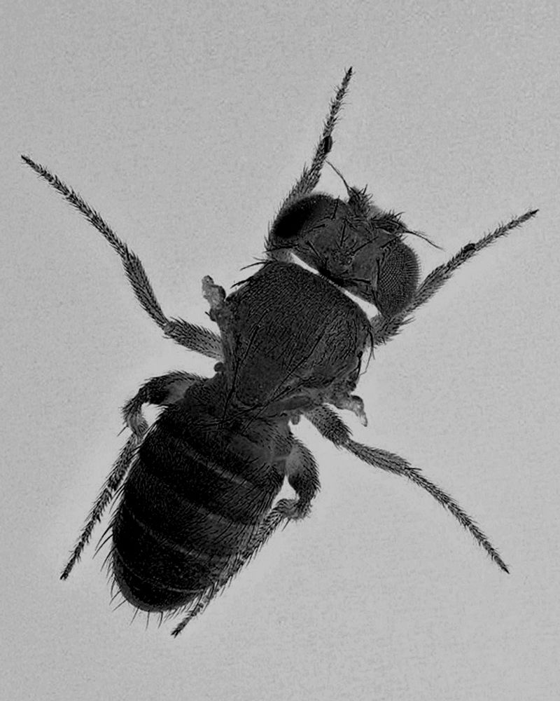 © Edward Nurton - Image from the THE ELEPHANT'S FOOT photography project