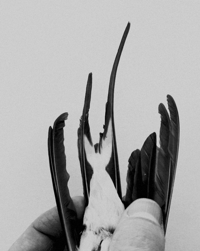 © Edward Nurton - Image from the THE ELEPHANT'S FOOT photography project