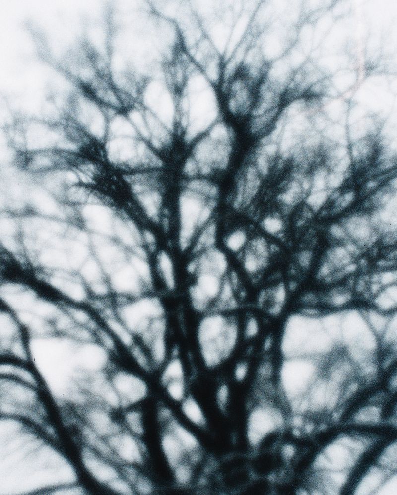 © Edward Nurton - Image from the THE ELEPHANT'S FOOT photography project