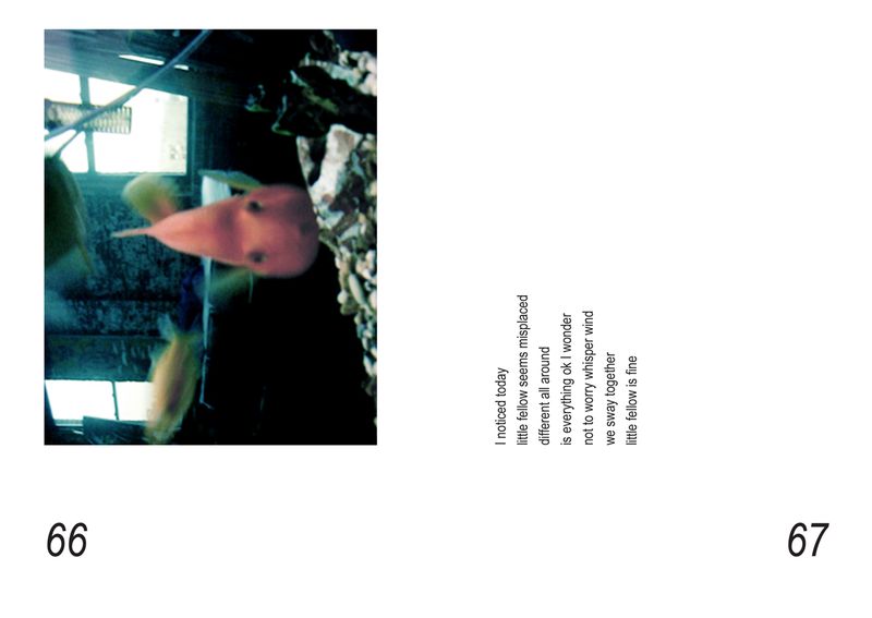 Image from a project on PhMuseum