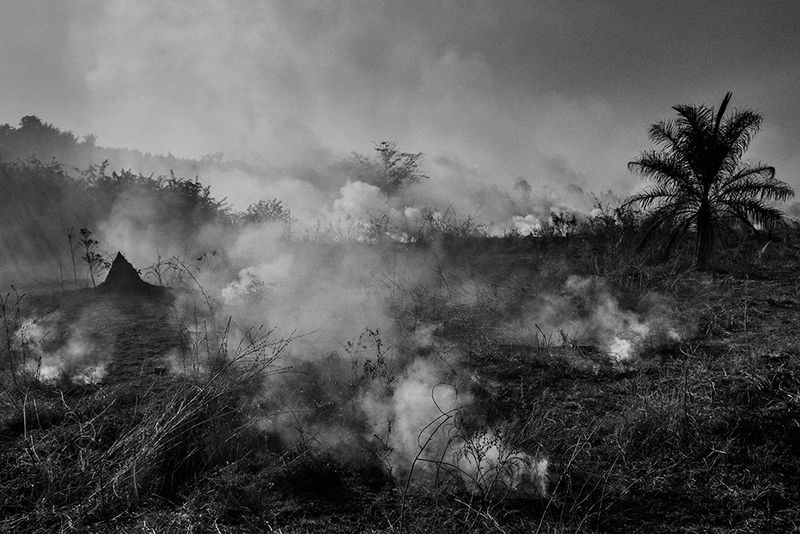 © Tommaso Protti - Image from the Terra vermelha photography project