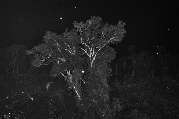 © Tommaso Protti - Image from the Terra Vermelha photography project