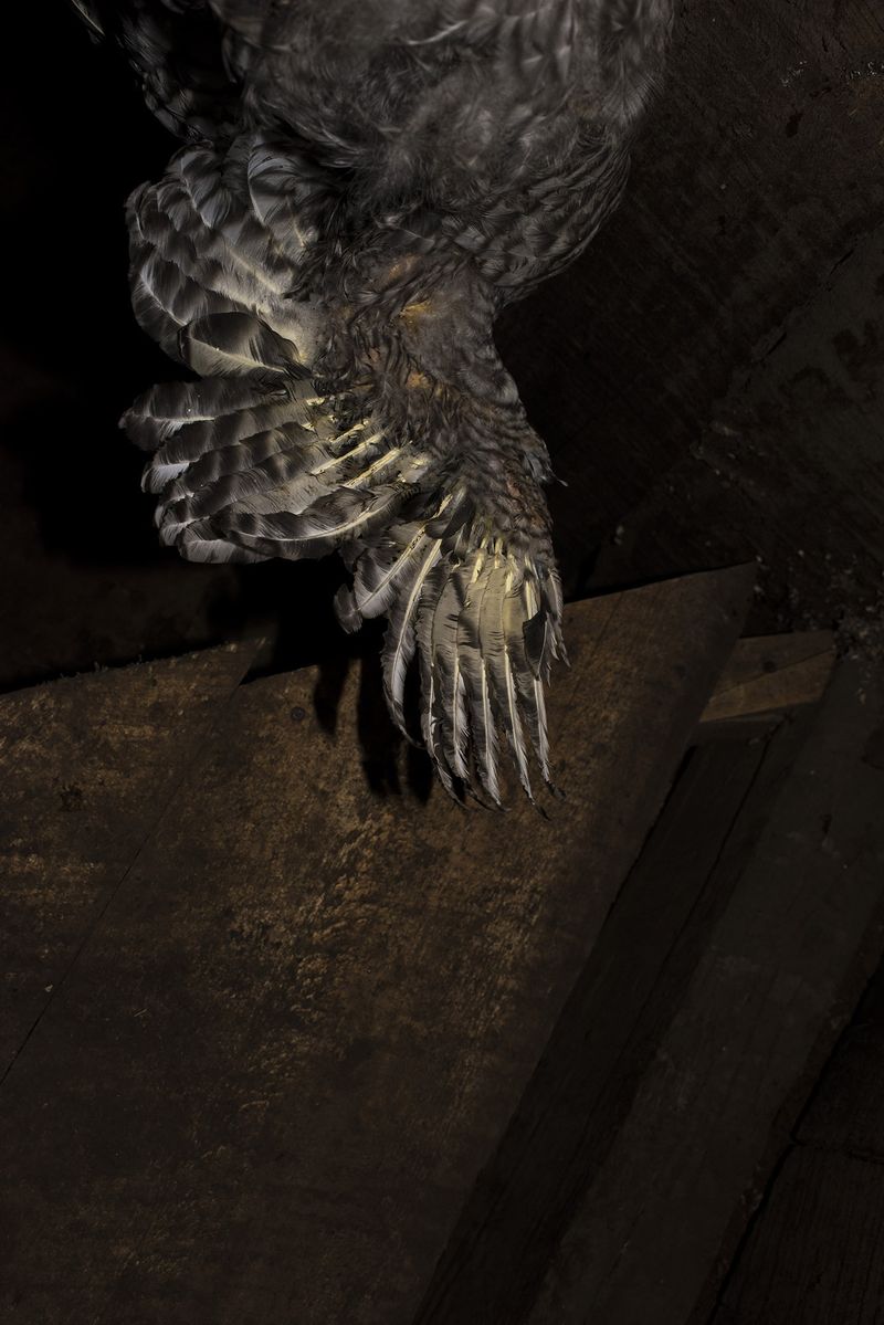 © Cristóbal Olivares - Image from the The Eternity of Tomorrow photography project