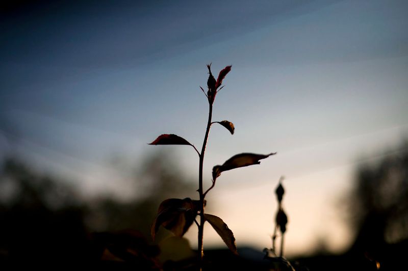 © Cristóbal Olivares - Image from the In Karen's Name photography project