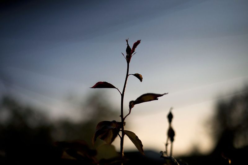 © Cristóbal Olivares - Image from the In Karen's Name photography project